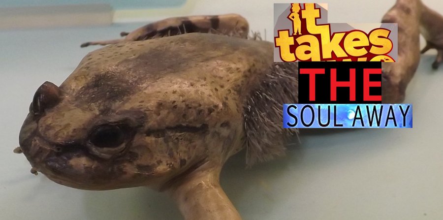 Spacejump tweet media