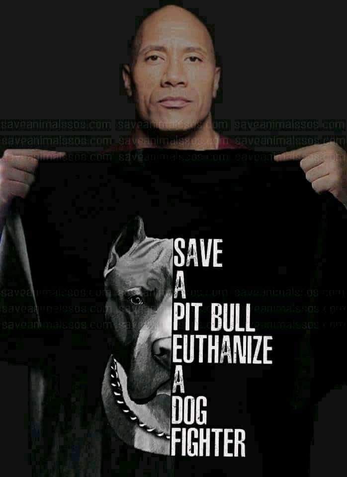 for_pittys's tweet photo. I can concur https://t.co/xdqZtv2xOY