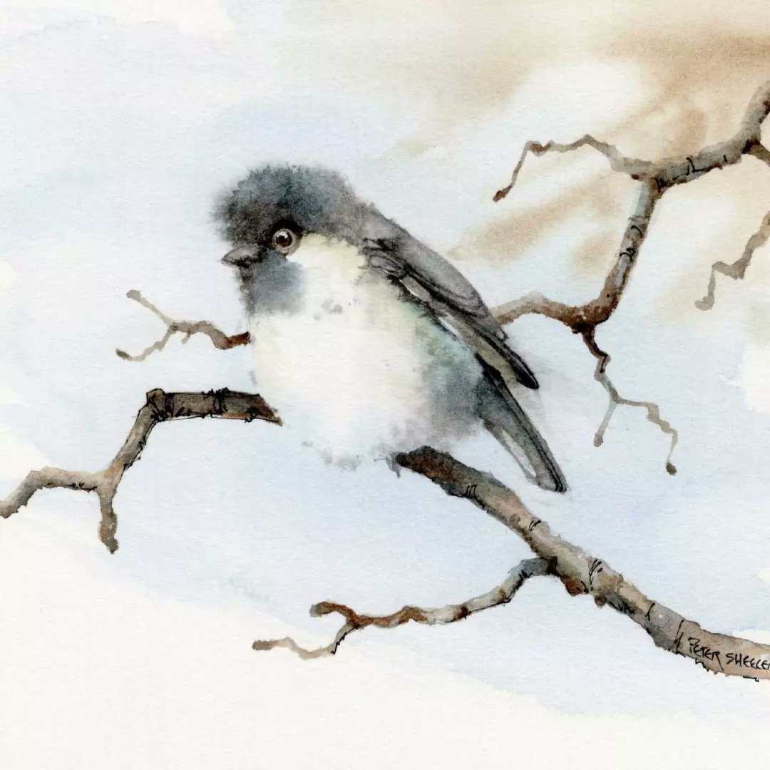 sheelerart's tweet photo. 2 Original Line and Wash Watercolors by Peter Sheeler. For sale on eBay. https://t.co/JJYShXrfdl My new Etsy shop: Prints and Instant download files for high quality prints and Greeting cards. https://t.co/jgxzXXTSex
#watercolor #farmhouse #chickadee #songbird https://t.co/69LEuKlg6t