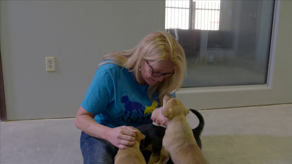 During the pandemic, @collin_morikawa and his girlfriend fostered six dogs.

He surprised Animal Network Las Vegas with a $10,000 donation.

@usbank | Real Good Moment https://t.co/kFniKdMM10