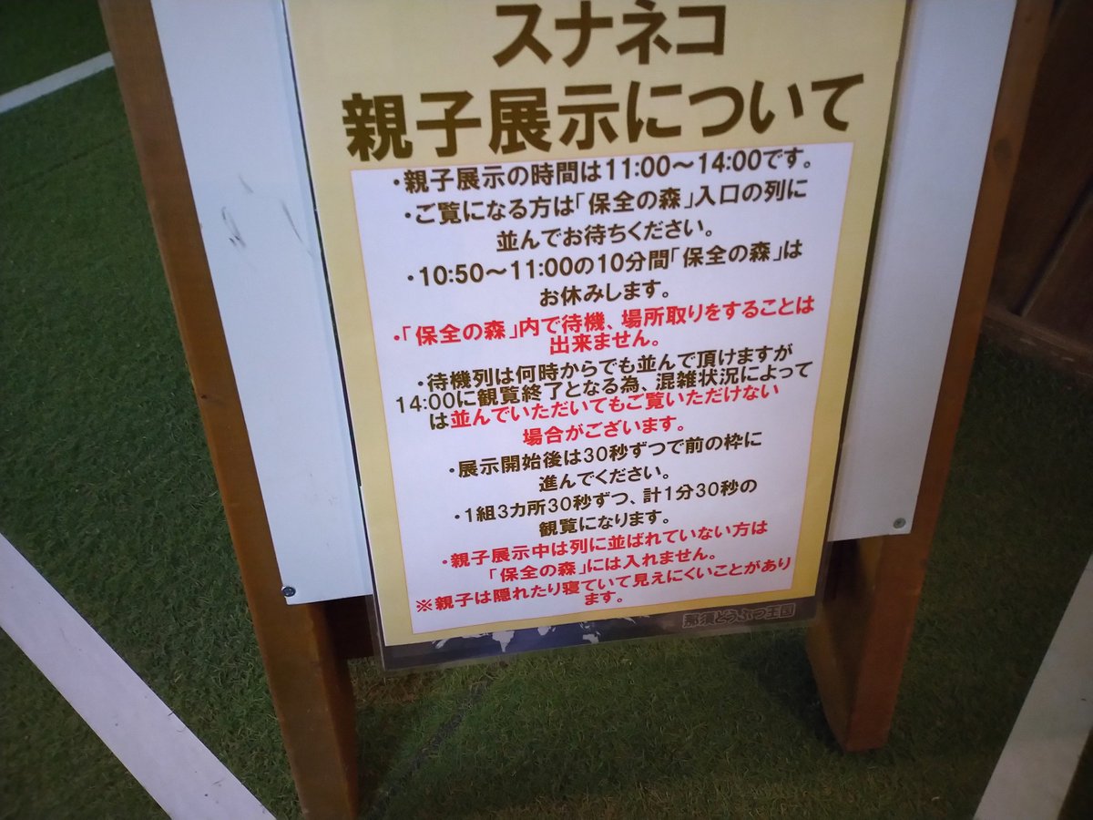 ミーアキャット 映画 最新情報まとめ みんなの評価 レビューが見れる ナウティスモーション