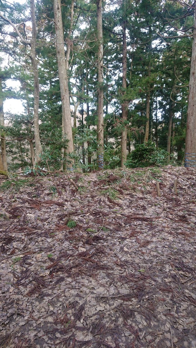 あおいパパの言う所の土塁 