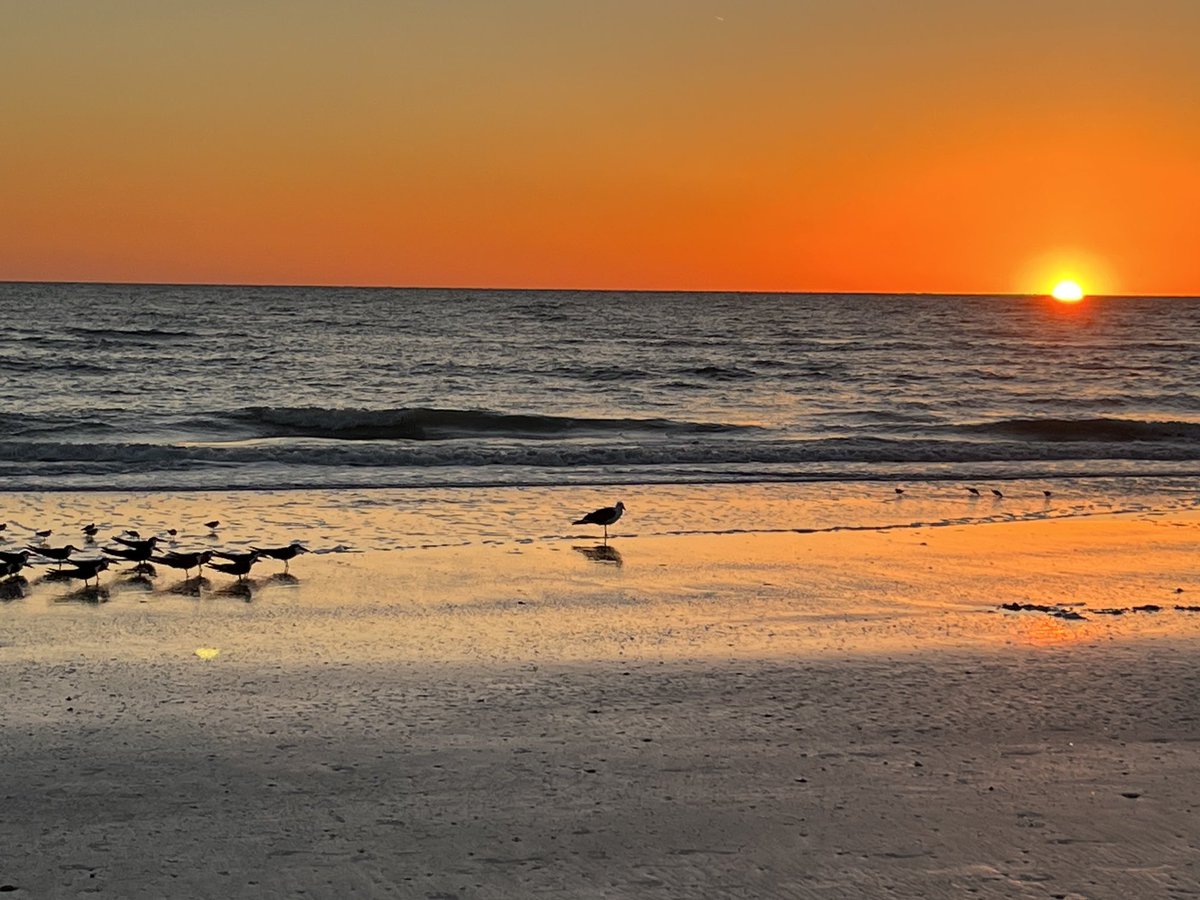 RossOFomerand's tweet photo. sunset #redingtonshores https://t.co/ub0jWtNQD8