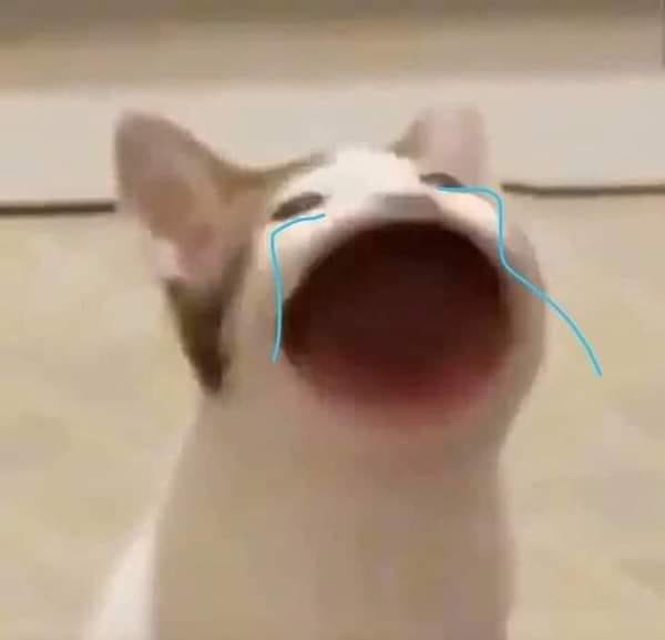 CymXie's tweet photo. fuA cómo odio distraerme con cualquier cosa aaaaaaa, ya casi dos horas intentando hacer mi tarea de inglés :( https://t.co/N6kKRujCXB