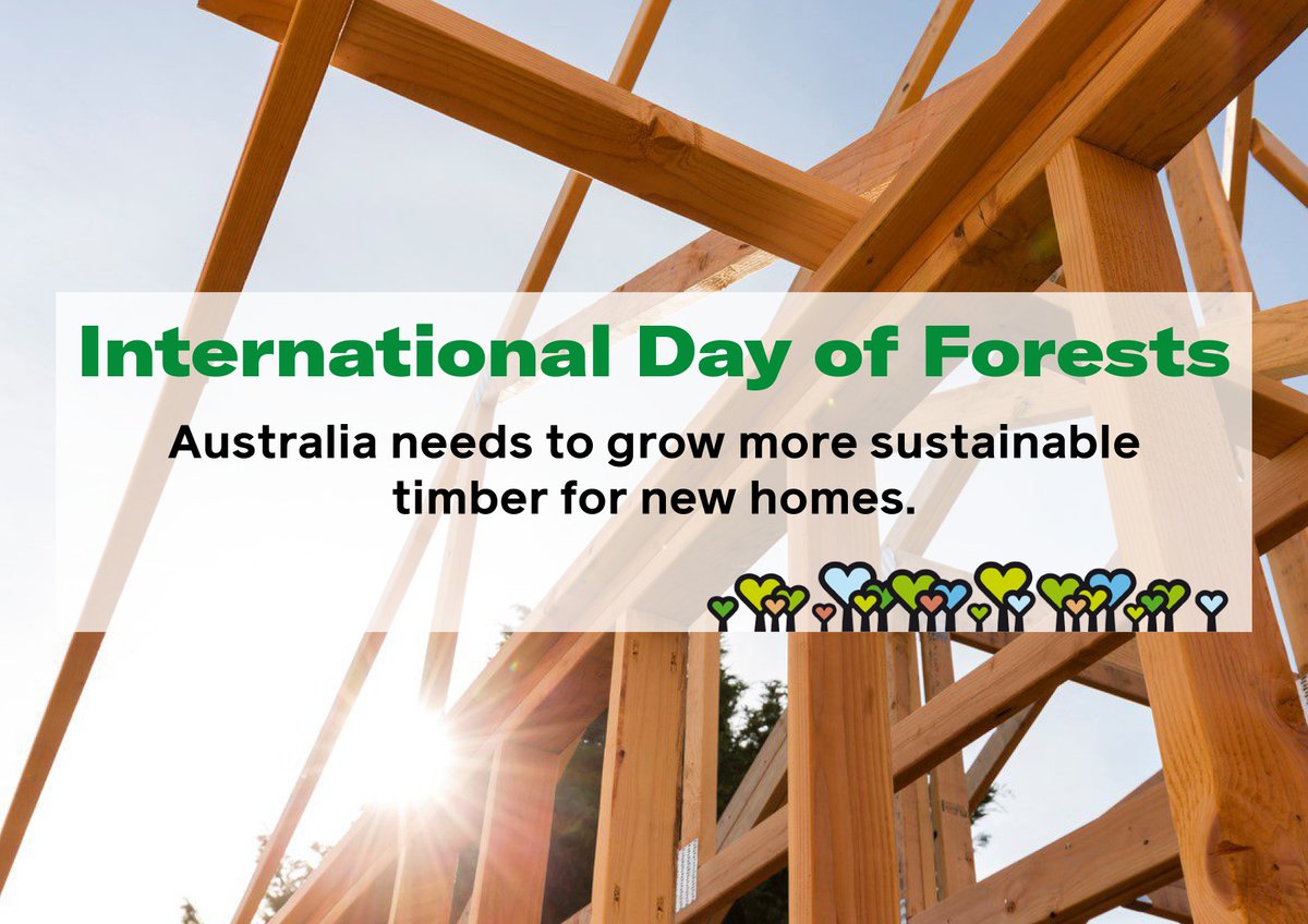 Australia needs one billion new production trees planted by 2030 – otherwise we’ll experience increasingly severe supply shortages.

Our own analysis shows Australia will be 250,000 house frames short of demand by 2035 if no action is taken.

#IntlForestDay #onebilliontrees
