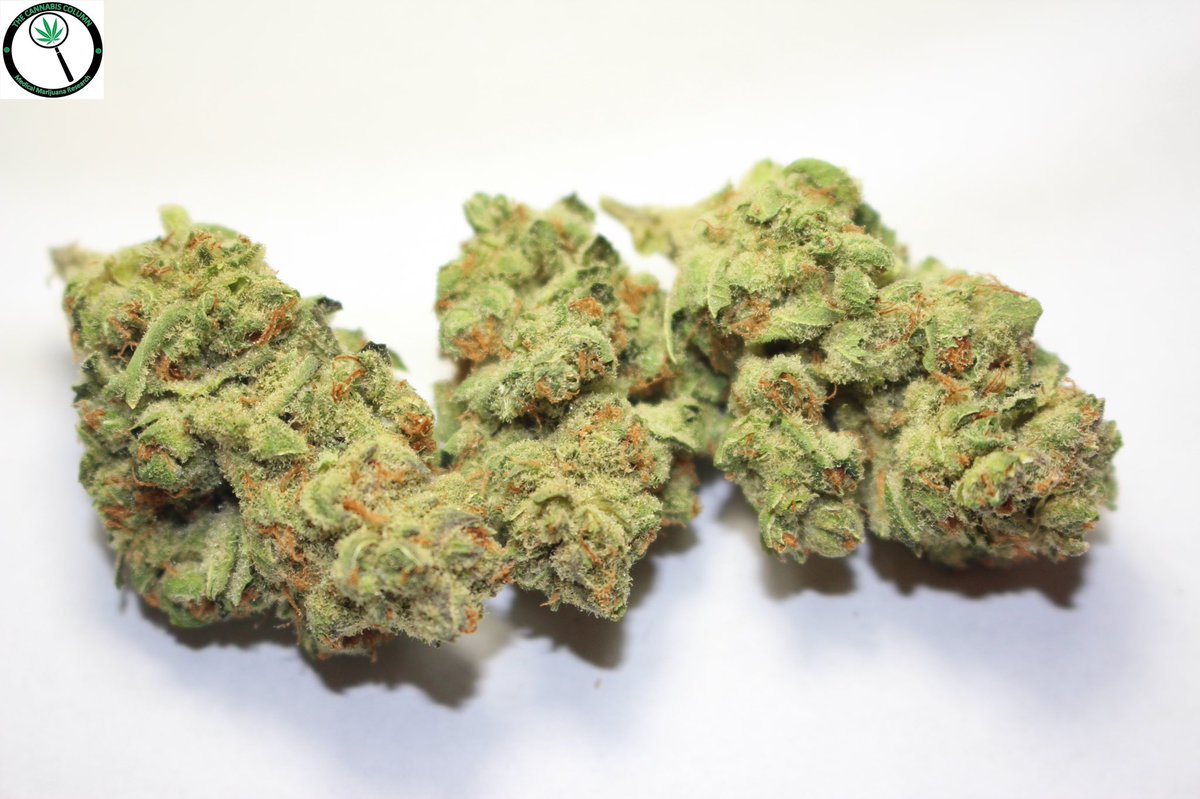 The Cannabis Column tweet media