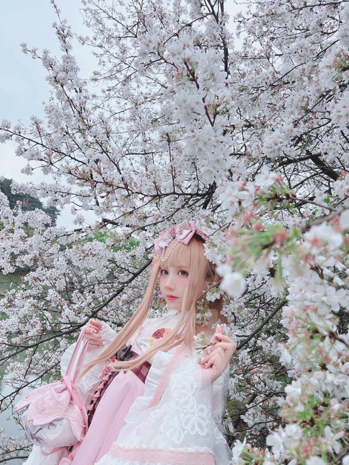 コスプレイヤー浅野菌子のTwitter画像33