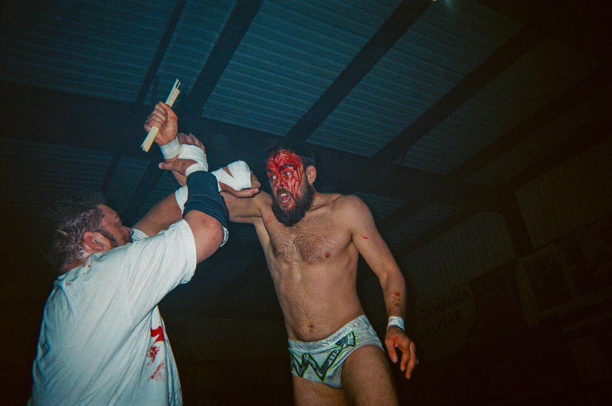 proctor📸 tweet media