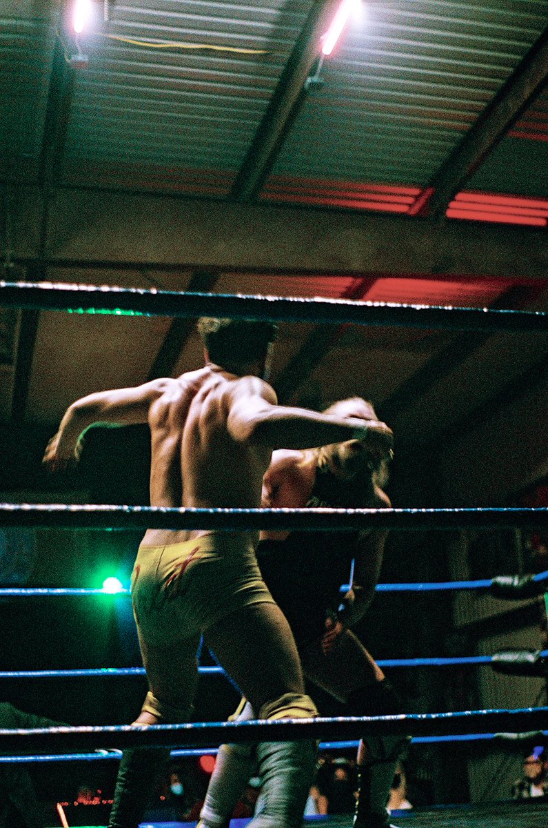 proctor📸 tweet media