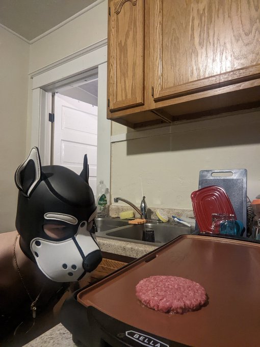 Puppo cooking 😘 https://t.co/GN49aYMJI5<a href="/tag/pupplay"class="tags"><span>#pupplay</span></a>