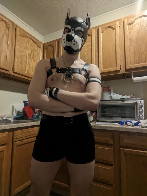 Puppo cooking 😘 https://t.co/GN49aYMJI5<a href="/tag/pupplay"class="tags"><span>#pupplay</span></a>