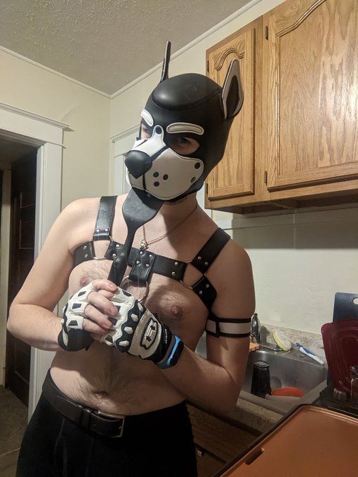 Puppo cooking 😘 https://t.co/GN49aYMJI5<a href="/tag/pupplay"class="tags"><span>#pupplay</span></a>