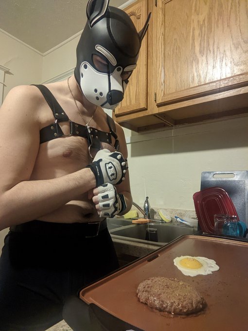 Puppo cooking 😘 https://t.co/GN49aYMJI5