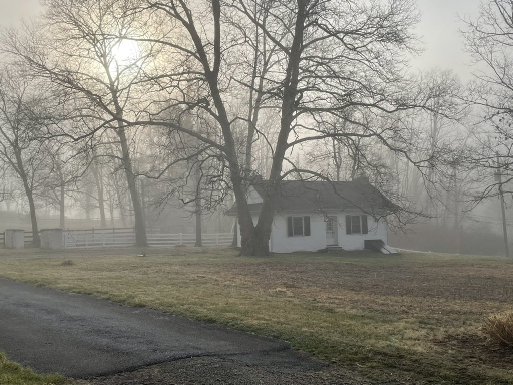 OpenLandConserv's tweet photo. A little late in posting, but the fog in Lorimer Preserve on Friday was breathtaking. https://t.co/O5DV4eHiQr