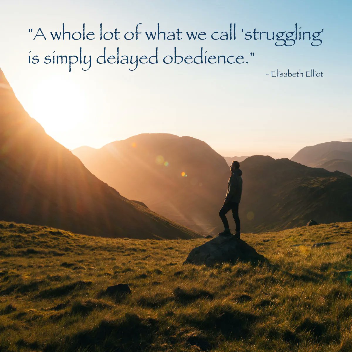 MissionViewfinder tweet media