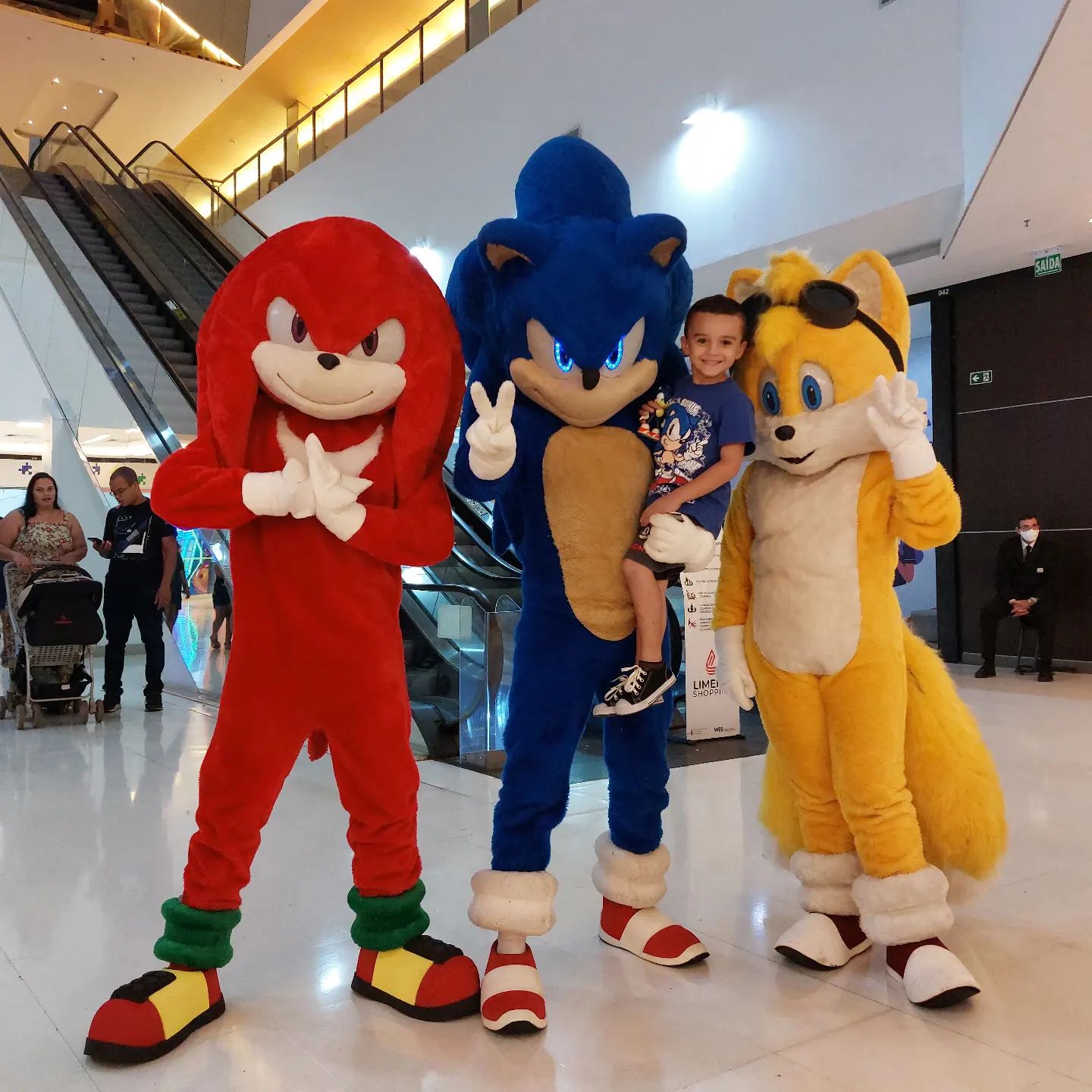 Sonic And Tails Costume