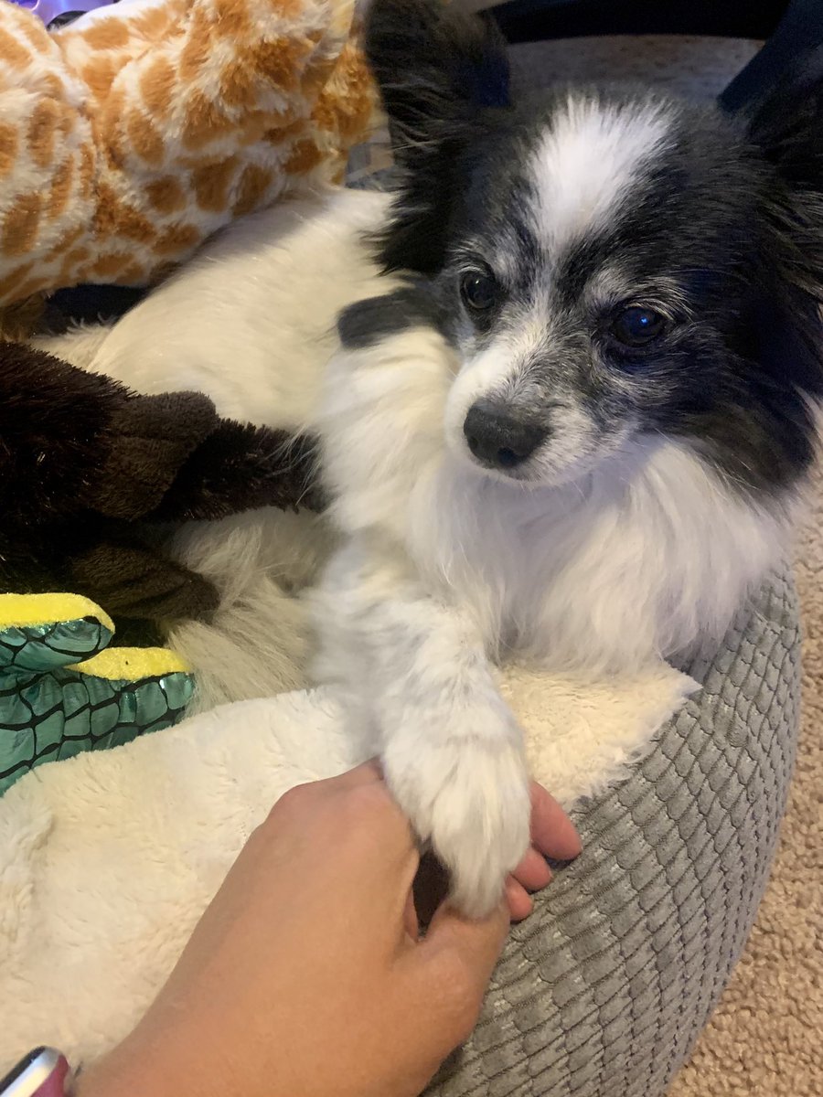 literally had to take a break from scrolling  #MatchDay2022 posts because I can’t stop choking up &amp; crying happy tears for people I don’t even know and my dog was starting to think something was very seriously wrong. she put her paw on me like r u ok mom

#Match2022 #MedTwitter