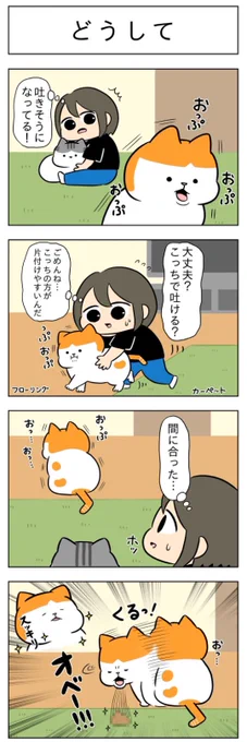 「どうして」
(はる蔵さんの「ふうらい日和」第41回)

2本目「火事場の猫力」はこちら⇒
https://t.co/xOaRGiZVtR 