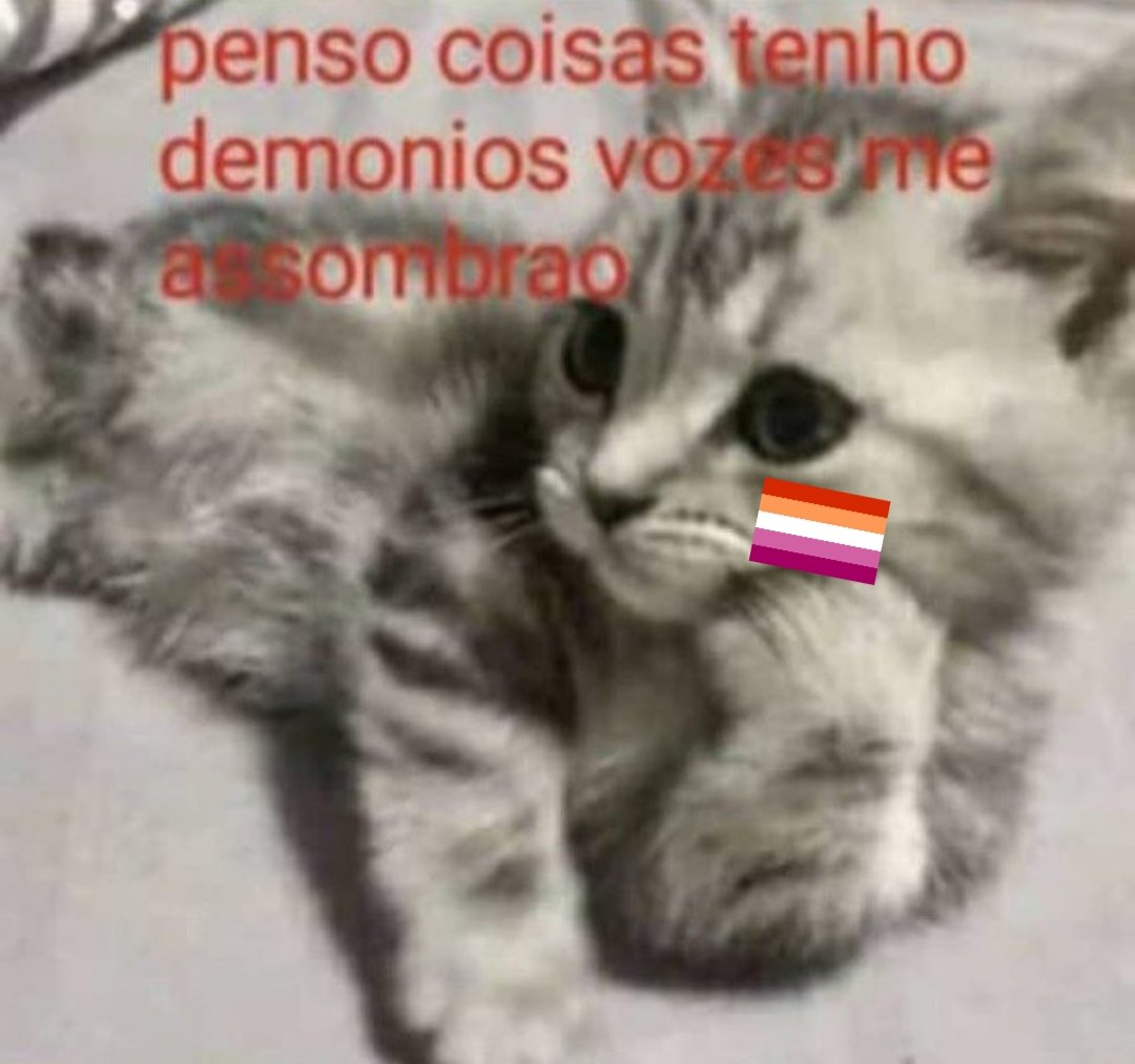 animaizinhos com a bandeira lésbica⚢ tweet media