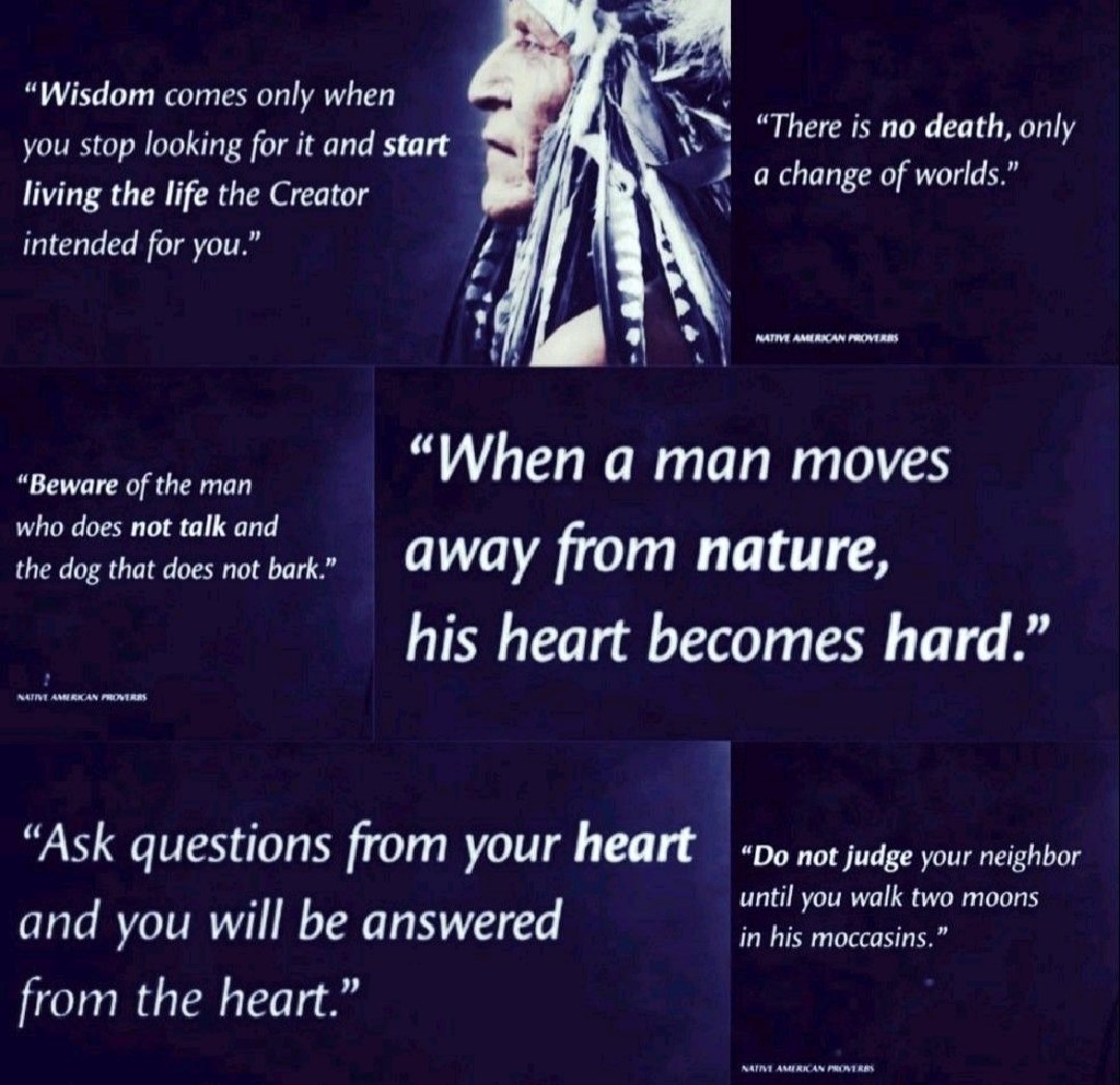 realgeraldauger's tweet photo. Creator owes you nothing in this life you owe it to yourself to become who the Creator created you to be. Be the change you want to see ❤ #Creator #CreatorsLaws #love #4directonalthought #4directionalspirituality #4directionalancestralknowledge  #4directionalancestorselders https://t.co/heNS7F6rn8