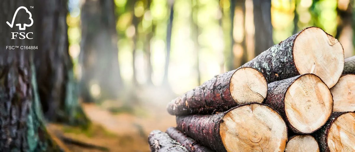 📈 La industria de productos forestales de origen sostenible crece un 14%.
📊 En España hay 1.401 empresas certificadas <a href="/FSC_Spain/">FSC España</a> de cadenas de custodia.
#ElasXeranSector #industriaforestal #Galiciaémadeira
buff.ly/3pFLjox
✔️O futuro é de madeira.
