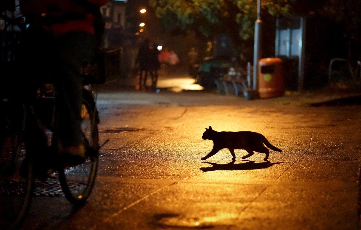 Escribirte..

Caminar, me gusta caminar.

Siempre es un buen comienzo el primer paso.

Hasta pronto..!!