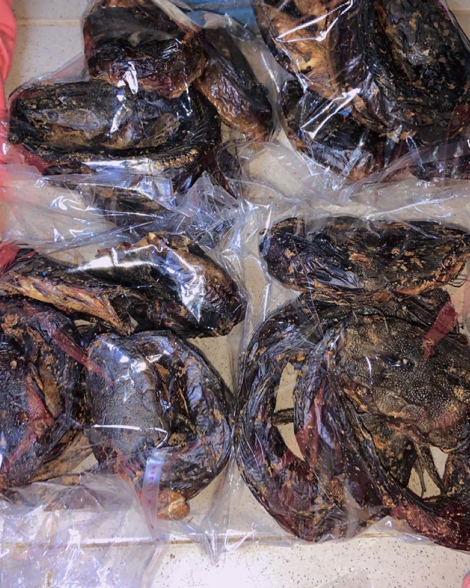 omenflakes's tweet photo. You can now order for our spicy smoked Catfish, it’s well cleaned and delicious, crunchy and can be stored for a long period cos it well dried https://t.co/aIqYGnJJn2