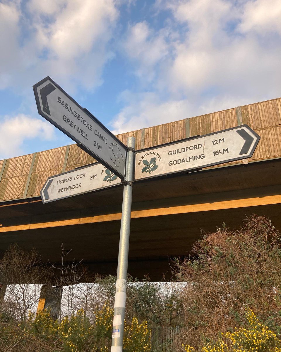 Last week <a href="/tillycosta/">Tillycosta19</a> suggested we go for a walk. To the Thames. So we did. 

A fantastic 40km training walk for the 106km around Isle of Wight in April!! 

I’d be so grateful for any donation!

justgiving.com/fundraising/Ma…

 #prostatecanceruk #menwearewithyou #walking #weynavigation