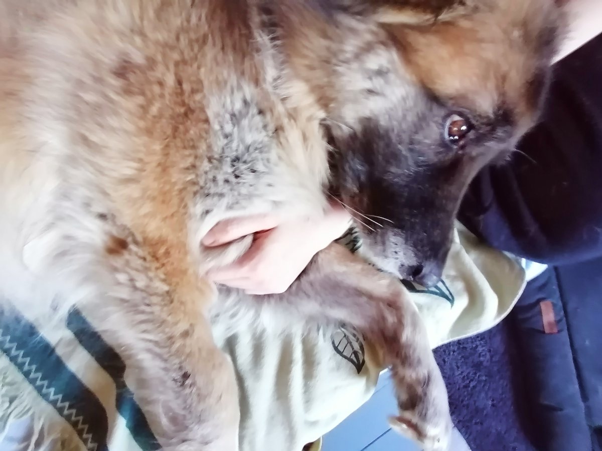 cuddly mornings are the best!