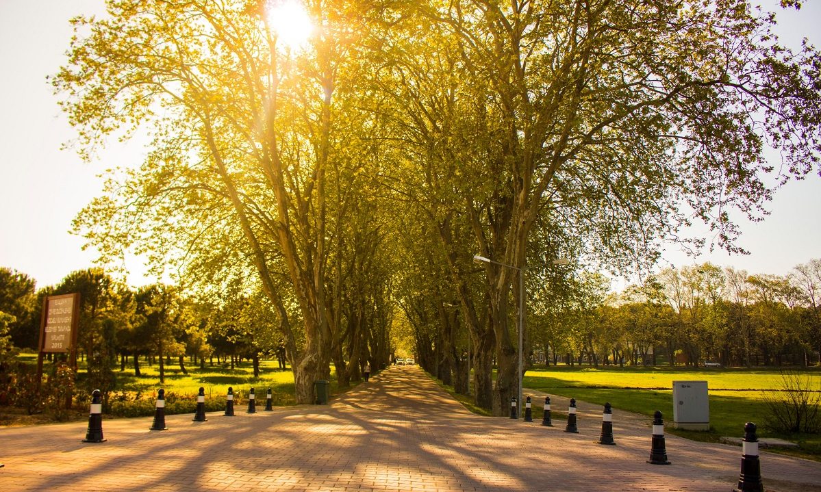 Bahar mevsiminin gelişinin ve toprağın uyanışının müjdecisi Nevruz Bayramı’nı en içten dileklerimle kutlarım.