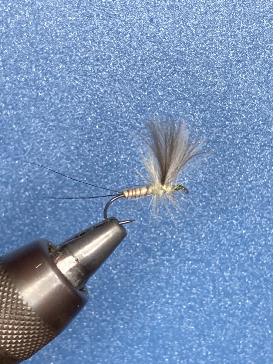 gachi_7134's tweet photo. 今日の3本🤗
#フライタイイング
#flytying 
#dryfly
#ソラックスダン
#ヒメヒラタカゲロウ
#ダイナキング
#DYNAKING https://t.co/7fQcTsb8Fp