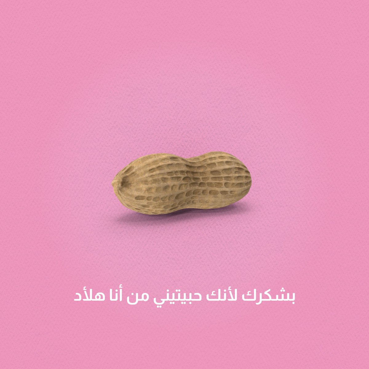 Sprout Digital Agency tweet media
