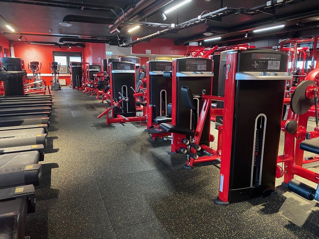 Into_Wellness's tweet photo. How our machines look after 2 years of rugged usage.
.
#FitIndia #HealthyIndia #FitnessMachines #StrengthTraining #StrengthWorkout #FitnessTraining #GymEquipment #NewGym #FitnessClub #HealthClub #Gymnasium #Workout #GymOpening #StartupGym #HealthStartup #FitnessWorld #NewGymSetup https://t.co/T7FTOAFrQD