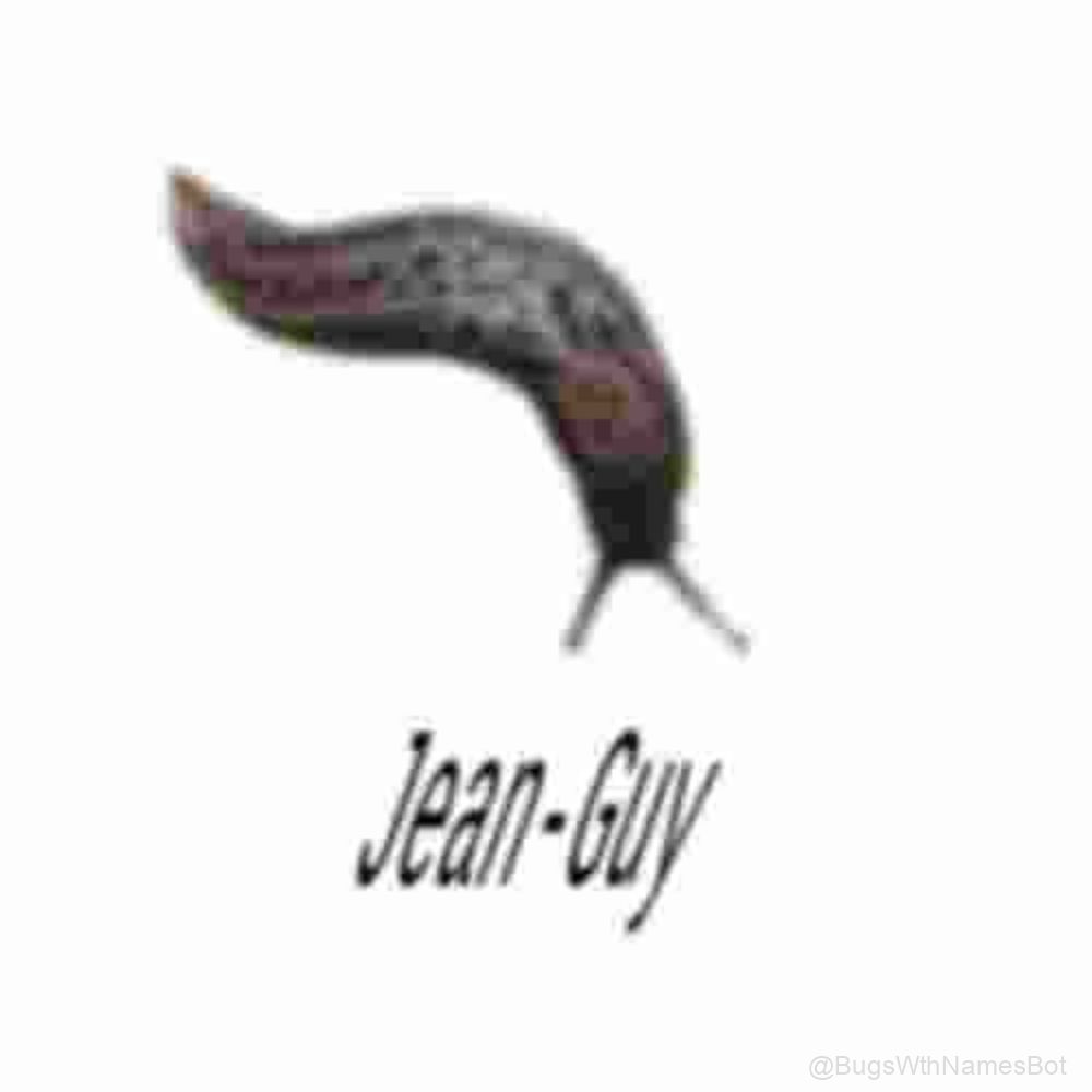 BugsWthNamesBot's tweet photo. 🐌 Jean-Guy https://t.co/3w1kPOVgqR