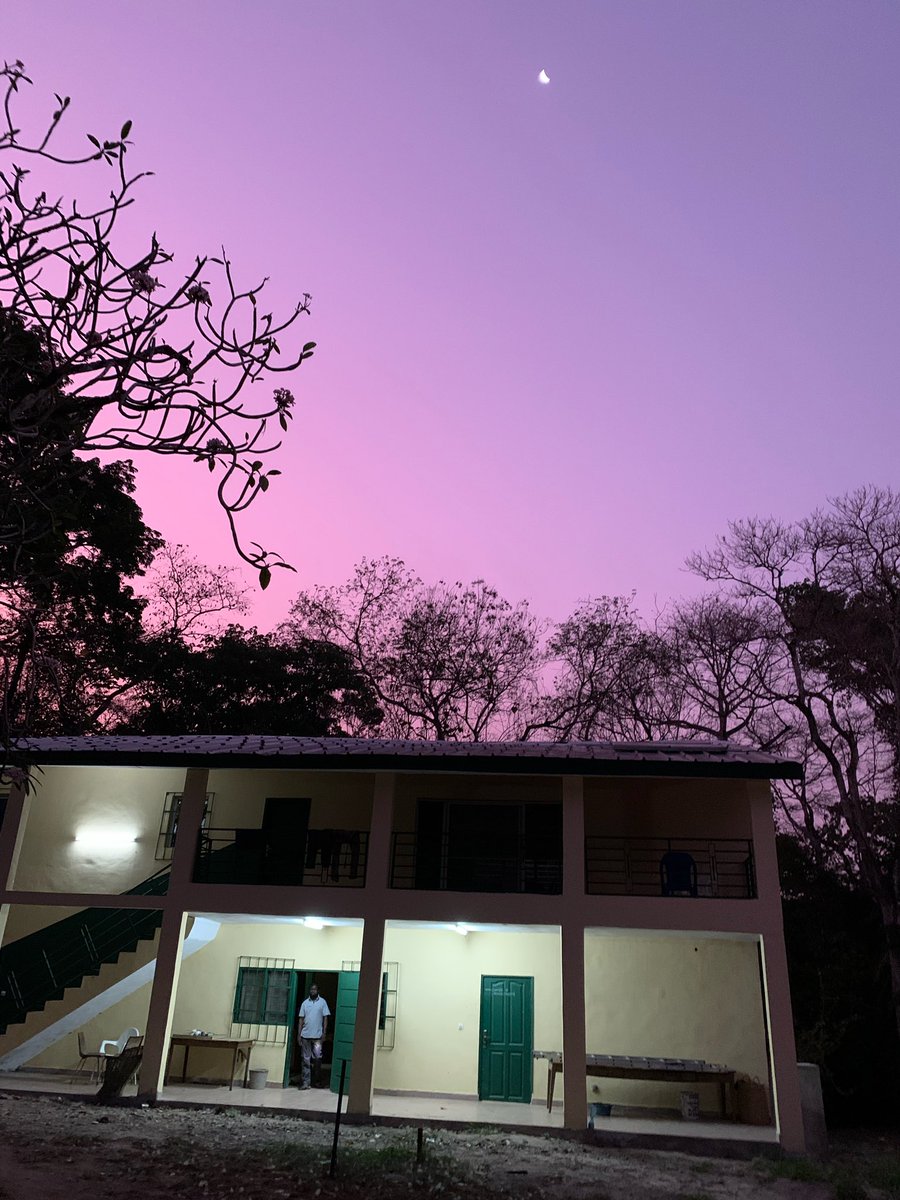 ErinLCole's tweet photo. Last day in the Ivory Coast! Thank you Professor N’golo Kone, Simon Silué and for everyone at the Lamto Ecological Field Station! Fieldwork was super productive!! #ERC_research #Lamtoecologicalfieldstation #cotedivore #kuscience #termiteresearch https://t.co/HgHQ12Qr3P