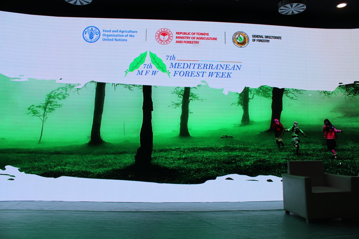 himighilas's tweet photo. Tous les sites et les moyens sont prêts pour le bon déroulement des événements #medforestweek et #IntlForestDay !
Nous attendons tous les participants et ceux qui se joindront aussi virtuellement🇹🇷.

@FCNMedNE
 
@OGMgovtr
 #medforestweek2022 https://t.co/jhflxNxmZx