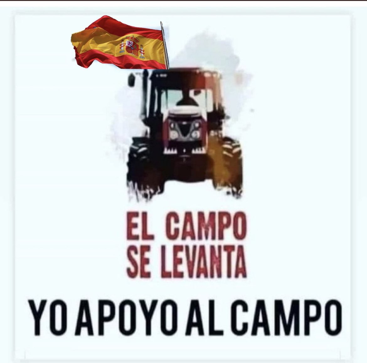 borja_espa's tweet photo. ▪️Los sindicatos solo se movilizan x la ley lingüística en Cataluña, x la excarcelación de terroristas en Vascongada y negándose a la bajada de impuestos. CCOO y UGT son una mafia asalariada del régimen del sepulturero. 💚🇪🇸
#QuePaguenEllos
#HayQueEcharlos 
#PrimeroEspaña https://t.co/DAjqpQmaUu