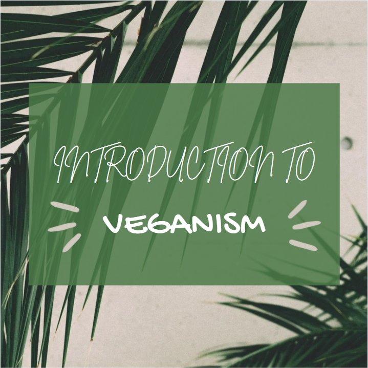veganissmm's tweet photo. Veganism is the practice of abstaining from the use of animal products, particularly in diet, and an associated philosophy that rejects the commodity status of animals. An individual who follows the diet or philosophy is known as a vegan. 

#introduction #veganism #veganfood https://t.co/C9QXOLvE1J