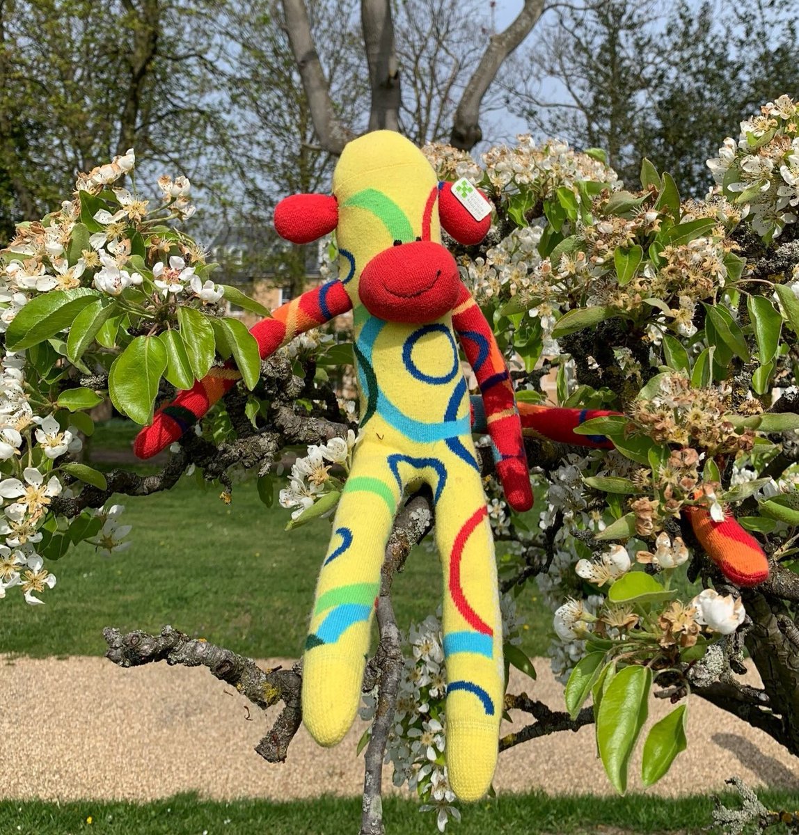 On this lovely sunny day, we want to wish everyone a very happy #WorldDownSyndromeDay 💚

We are SO excited for today and the start of #AwarenessWeek 🙌

Don't forget to send <a href="/DSAInfo/">Down's Syndrome Association</a> and us some snaps in your #LotsOfSocks too 🧦