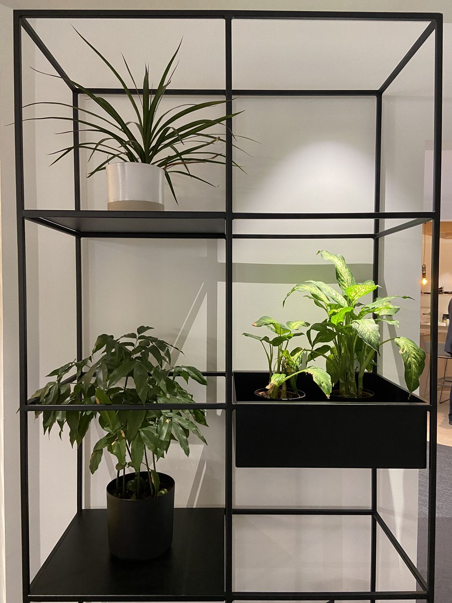 Spectrum Workplace tweet media