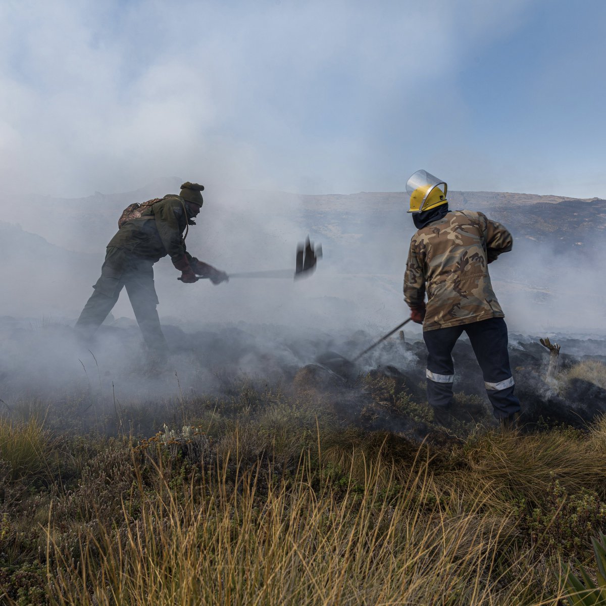 andreyjosephs's tweet photo. Mount Kenya is on fire! Firefighting teams and volunteers are giving it their all to put out these fires ravaging the mountain’s ecosystem. https://t.co/ATaDcNsB0H