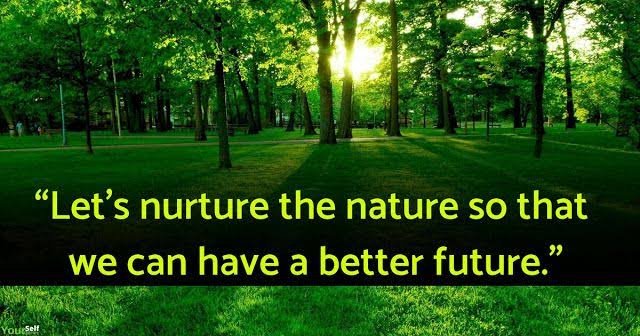 global_geco's tweet photo. The main aim of the day is to raise awareness of the significance of all types of forests.The UNGA proclaimed March 21 as the International Day of Forests.The day reminds people to value and save forests and the importance of forests in the lives of living creatures.#saveforests https://t.co/LEzQuJQvD8