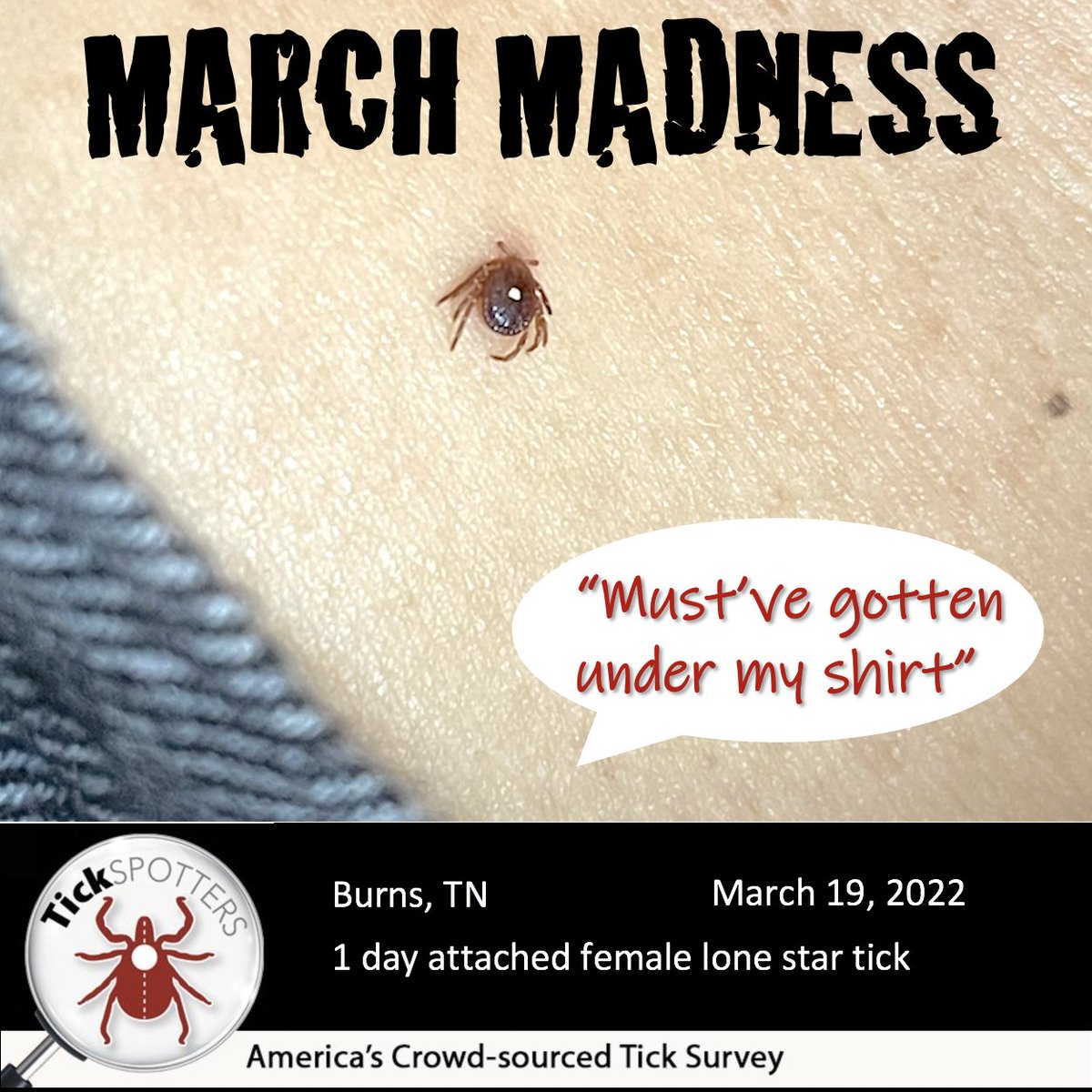 thetickguy's tweet photo. Here’s a view of March Madness--tick style. They’re getting around the defense, biting, feeding...and people are getting mad. FOUL--right? Check our springtime #BeReadyForTicks tips. https://t.co/0LFiwtMhtz @RealMalachowski @LonnieRhea @VickyNguyenTV https://t.co/O6NE1rTZIy