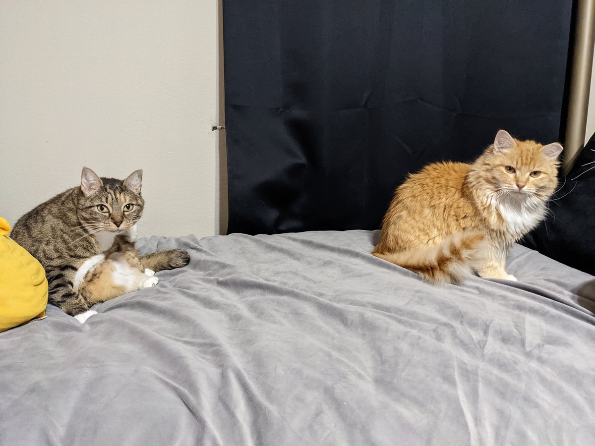 Looking kinda sus, idk