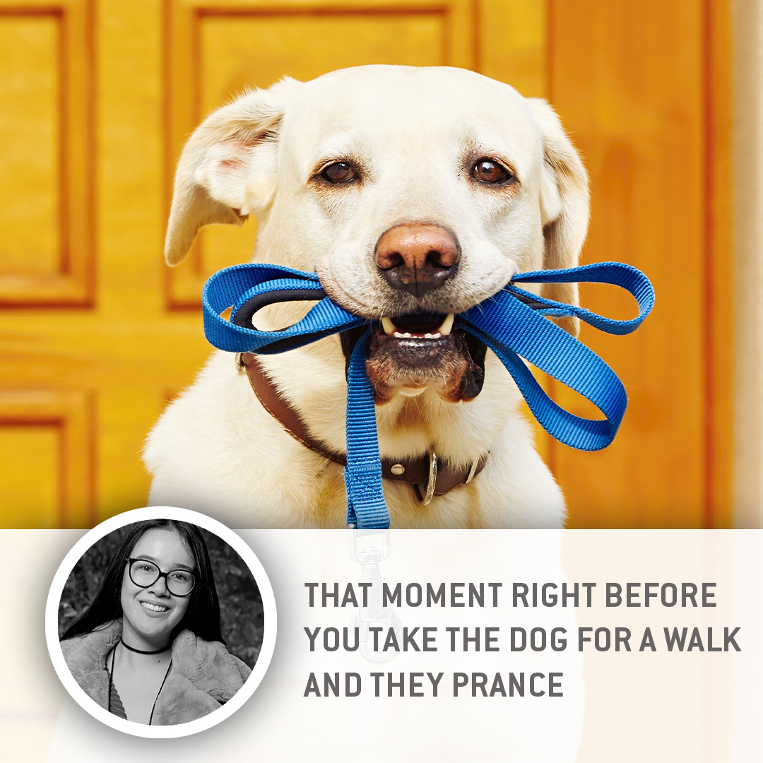 Today we're celebrating #InternationalDayofHappiness! We asked our team to share what brightens up their days. Have a scroll through to learn about what brings a smile to the Historians!