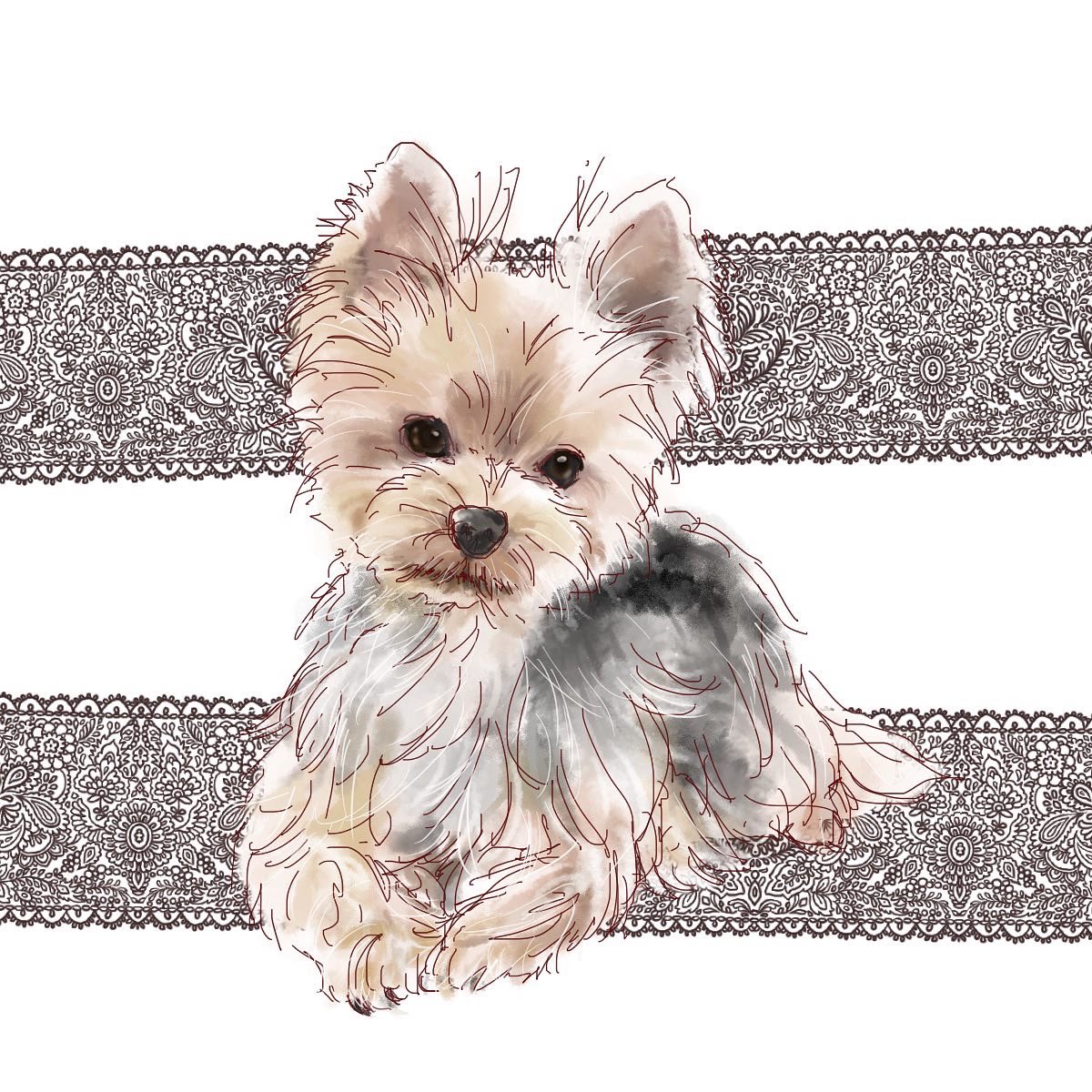 Mphkmehst3slzm Mphkmehst3slzm