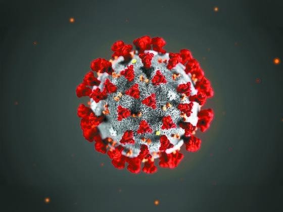 gnuhc126's tweet image. I think the 2020s will be the era of destroying common sense. 
en.imgtag.co.kr/issue/137051/?… 
 
#common_sense #Era #Record #shattering