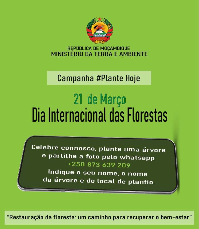 MTAmbiente's tweet photo. #Campanha #Plante #Hoje https://t.co/mFhNkmkE3k
