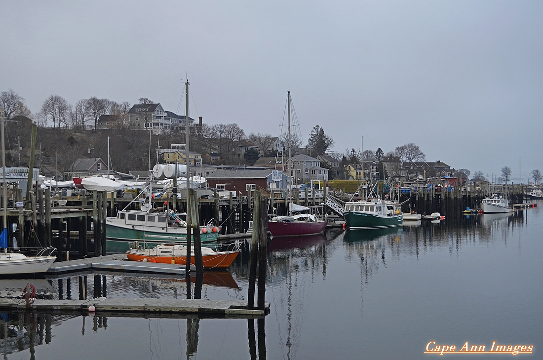 Cape Ann Images: An Overcast Week! capeannimages.blogspot.com/2022/03/an-ove…