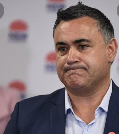 hughriminton's tweet photo. John Barilaro feared “sexual and physical violence” incited by YouTube videos from ⁦@friendlyjordies⁩ to such a degree that it was instrumental in his decision to quit politics last year - evidence from court as Barilaro sues ⁦@Google⁩ ⁦@10NewsFirst⁩ https://t.co/0rL0SIC2bf